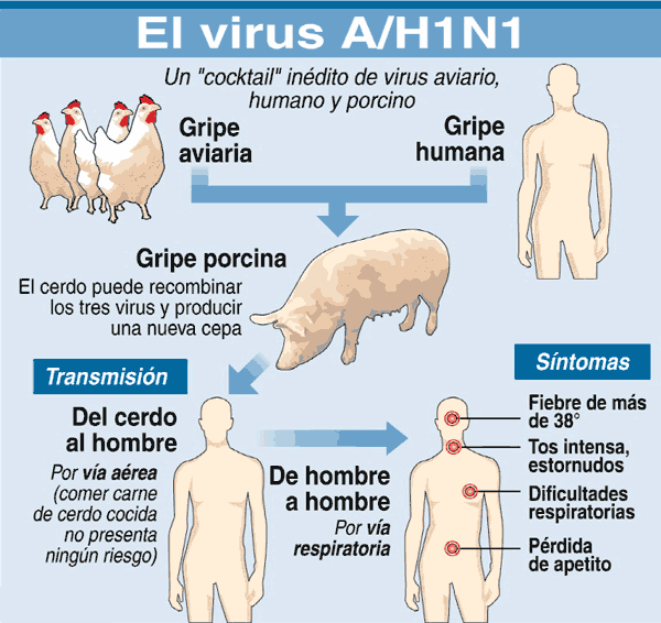 Las semillas del hinojo de las lombrices las revocaciones
