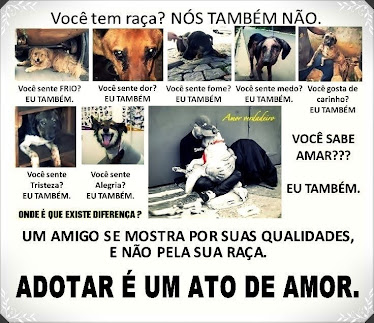 Adotar é um ato de amor!!!