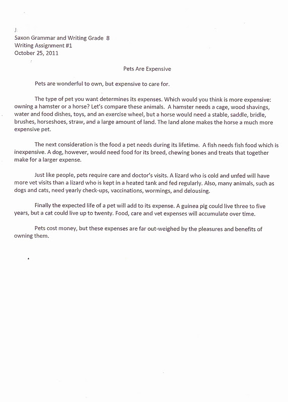 compaining americans essay compaining americans essay