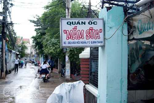 Những quán ốc ngon, giá rẻ 20K-35K ở Sài Gòn, oc ngon re, ẩm thực, quan oc binh dan, quan an ngon, mon ngon sai gon, diem an uong ngon