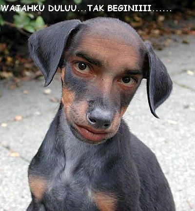 Kisah Harian Hidup Ahba Muka Sape Ni