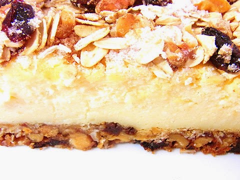 猫の手料理 ボトムがリッチ オートミール レーズンのチーズケーキバー