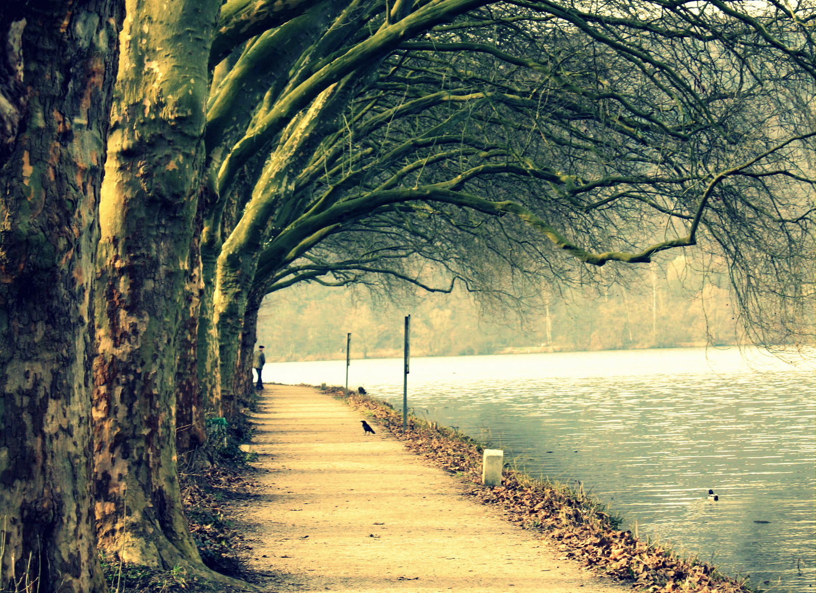 Schone Bilder Die Ans Herz Gehen