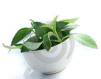 DAUN STEVIA