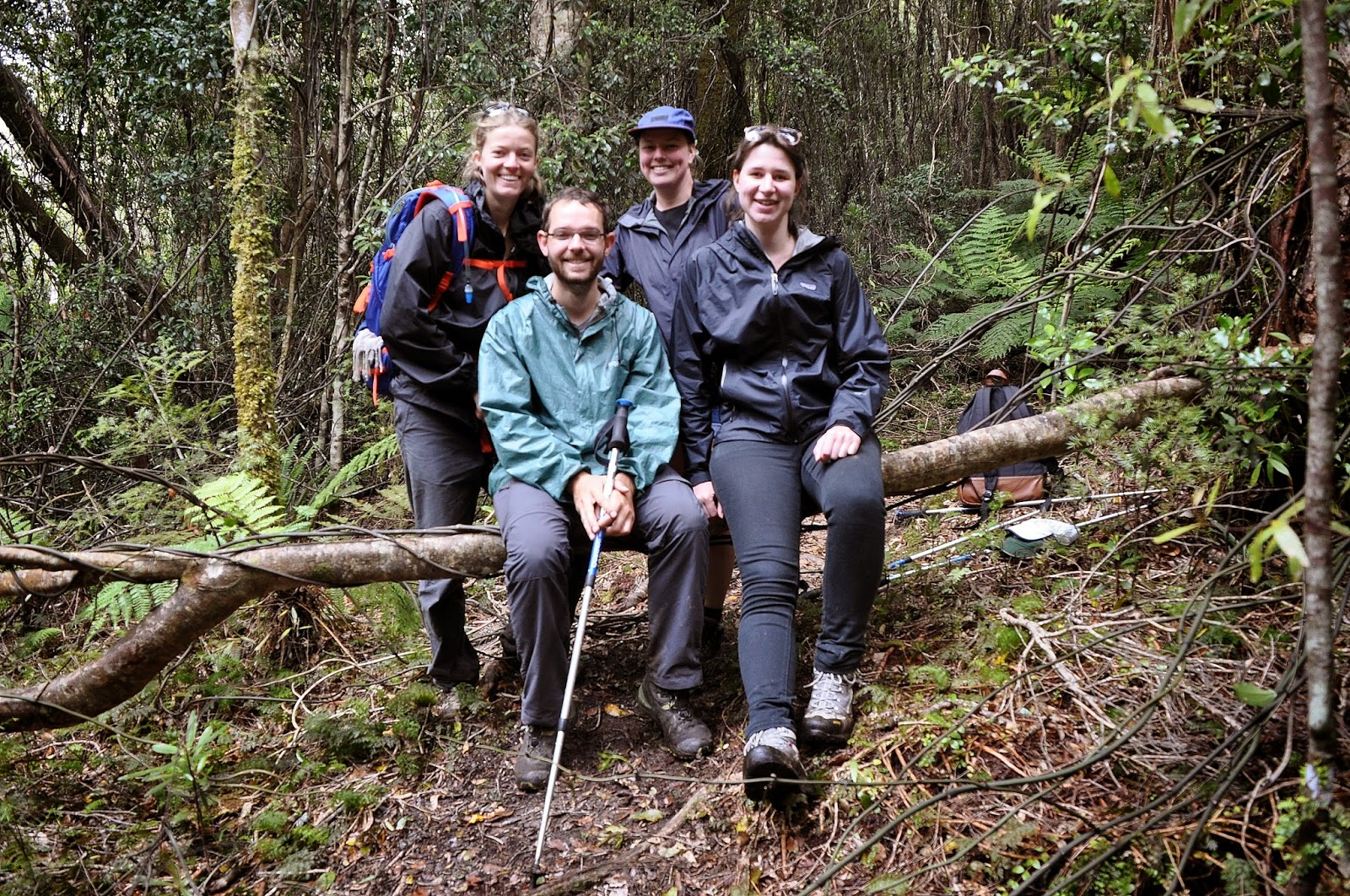 Alice et Valentin en voyage ! Otaki Forks