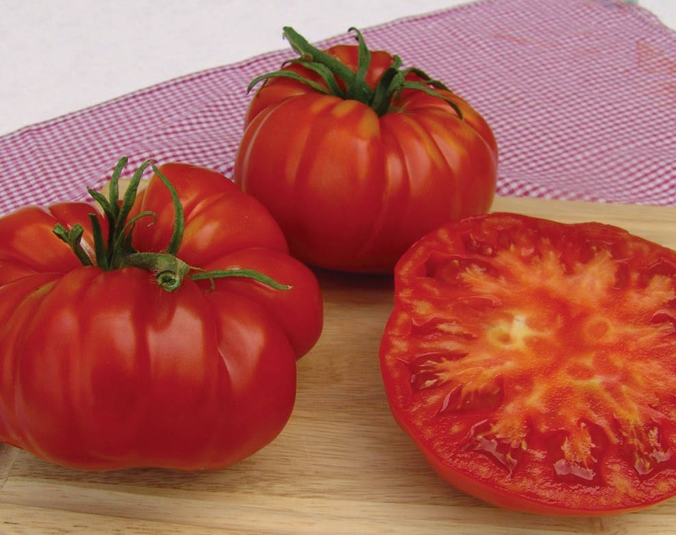 BUY GIANT TOMATO SEEDS The Garden of Eaden