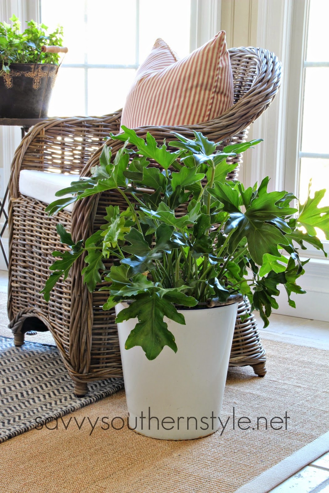 Savvy Southern Style Winter Sunroom