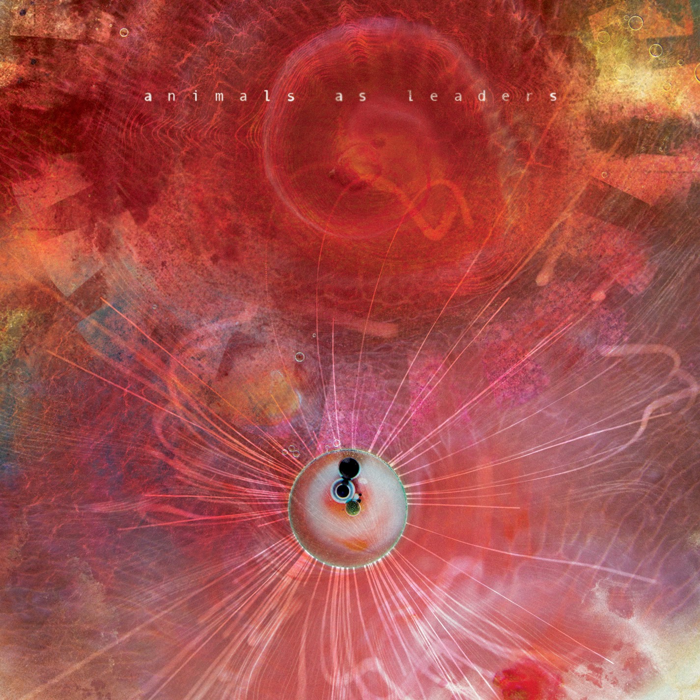 Animals as leaders