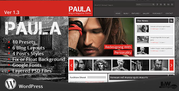 Paula-Blog-and Magazine-Wordpress-Template