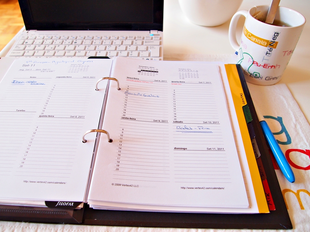 The Busy Woman and the Stripy Cat My GTD system the planner