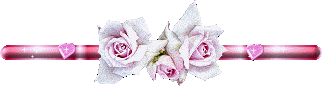 barra-divisoria-flores-rosas+(145).gif