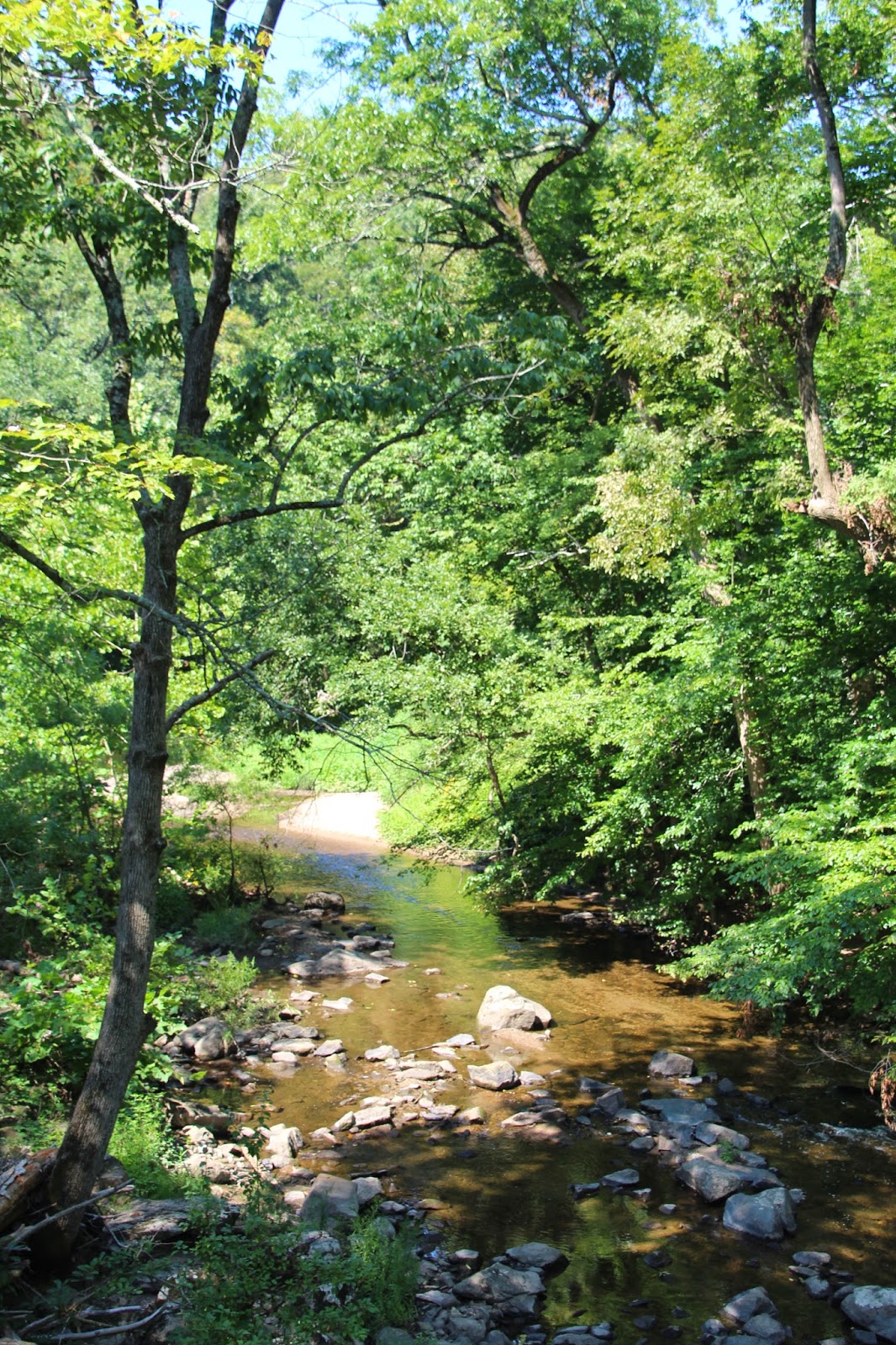 Pennypack's Natural Landscapes Pennypack Trail Reconnoiter