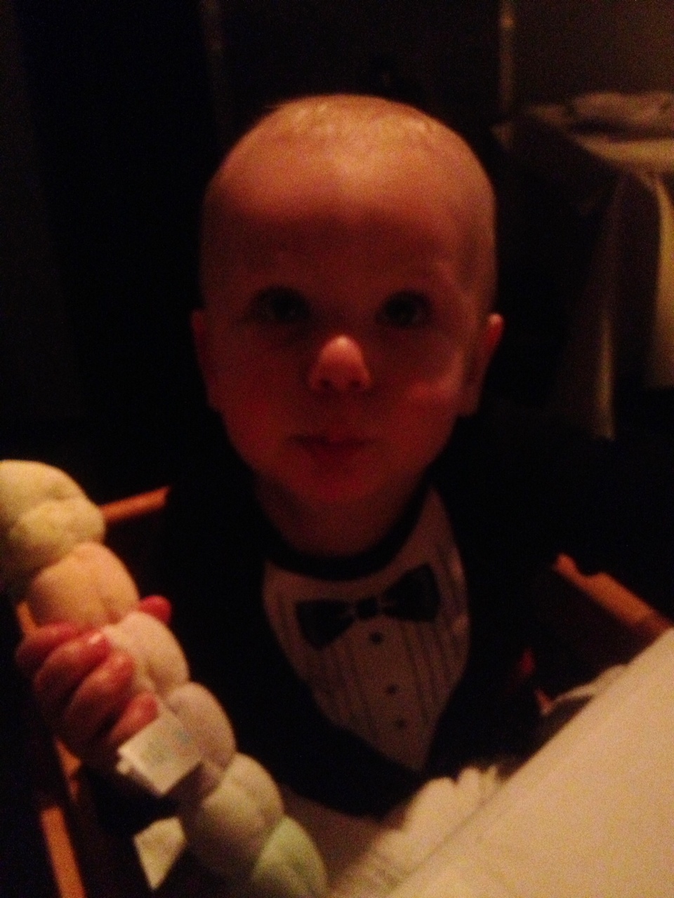 bright starts elephant teether