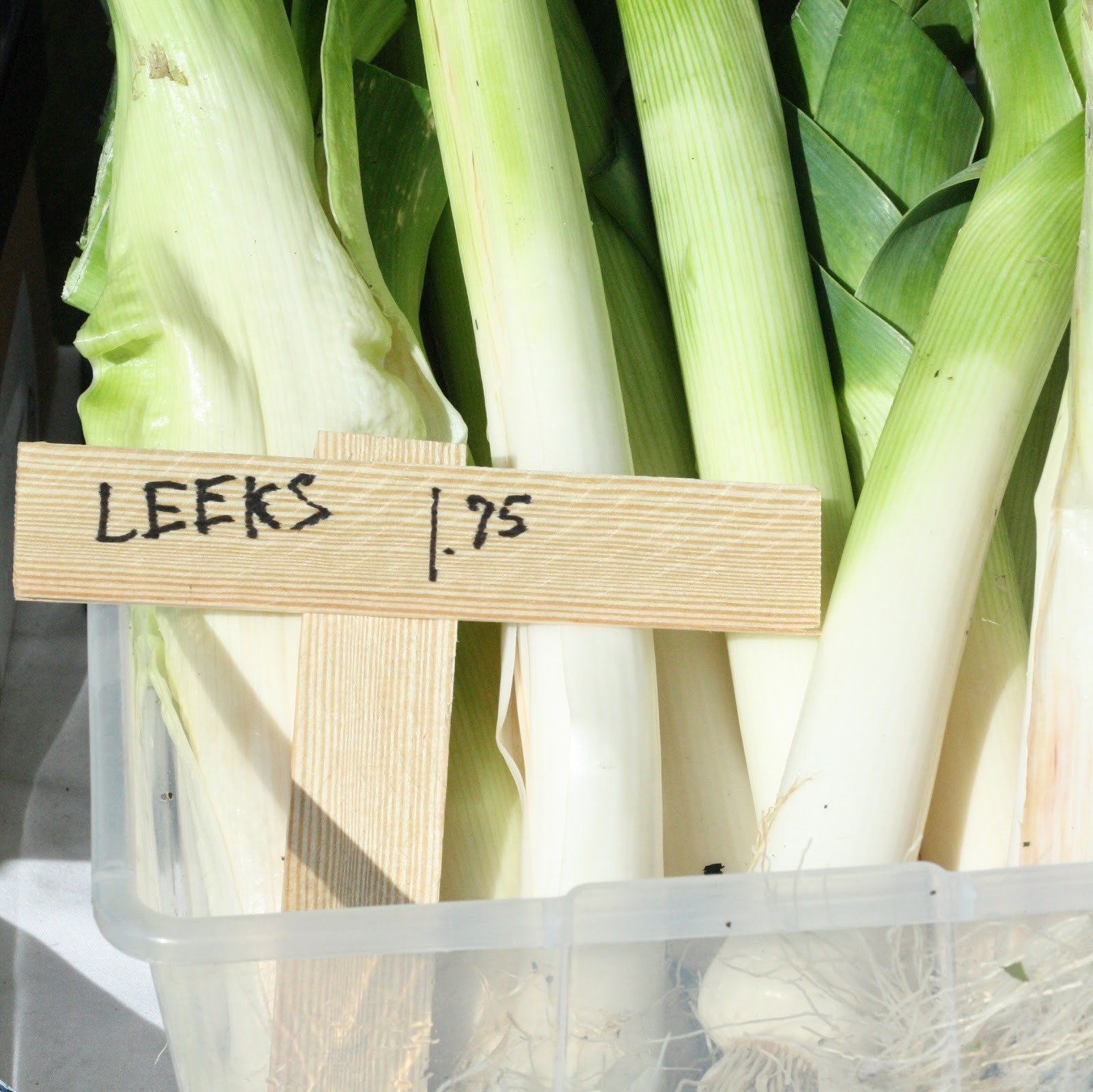 The Mystery Behind Mckinley Richardson Leeks: Finally Unveiled! - jytcjwn