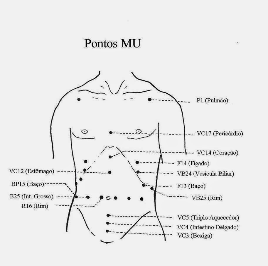 MU - FRONTAIS