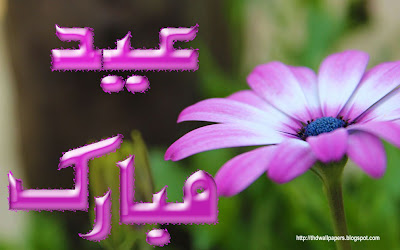 Eid Ul Adha Zuha Mubarak Flowers Wallpapers Greeting Cards in Urdu 004