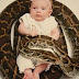 Baby VS Ular