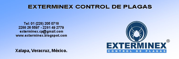 EXTERMINEX Control de Plagas