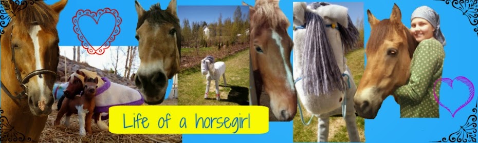 Life of a horsegirl