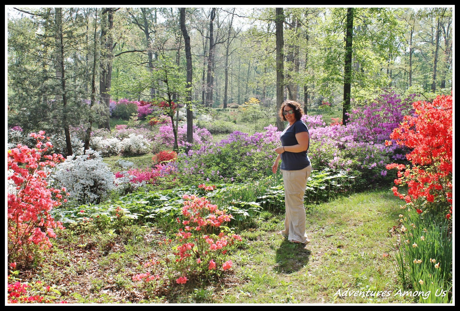 The Missouri Mom 45 Things to do in Missouri