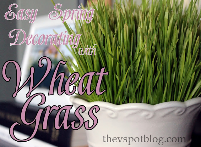 wheat grass, white planter, green, spring, decor