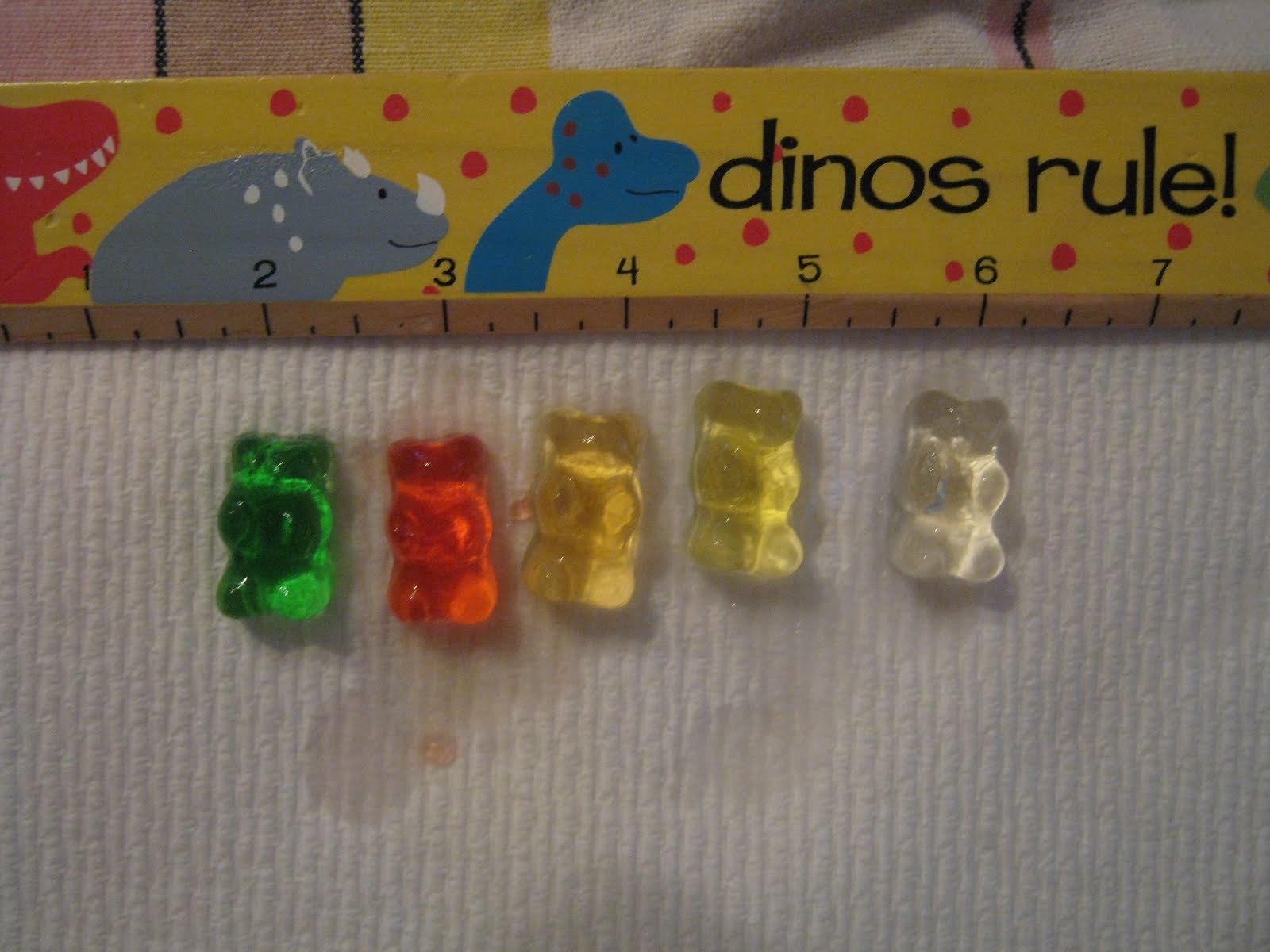 Science for Kids Experiment 1 Growing Gummy Bears