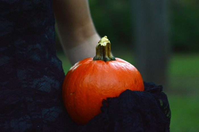 french courtship slip halloween costume