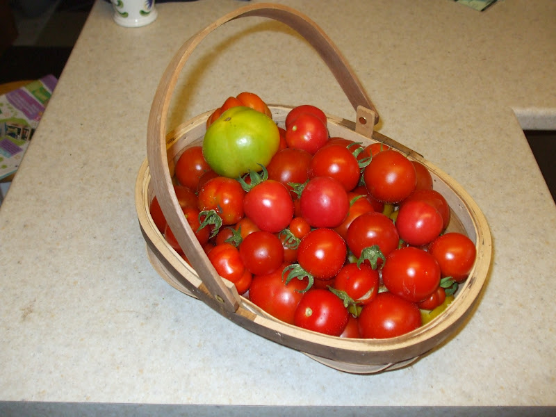 The Compost Bin Lammas greetings
