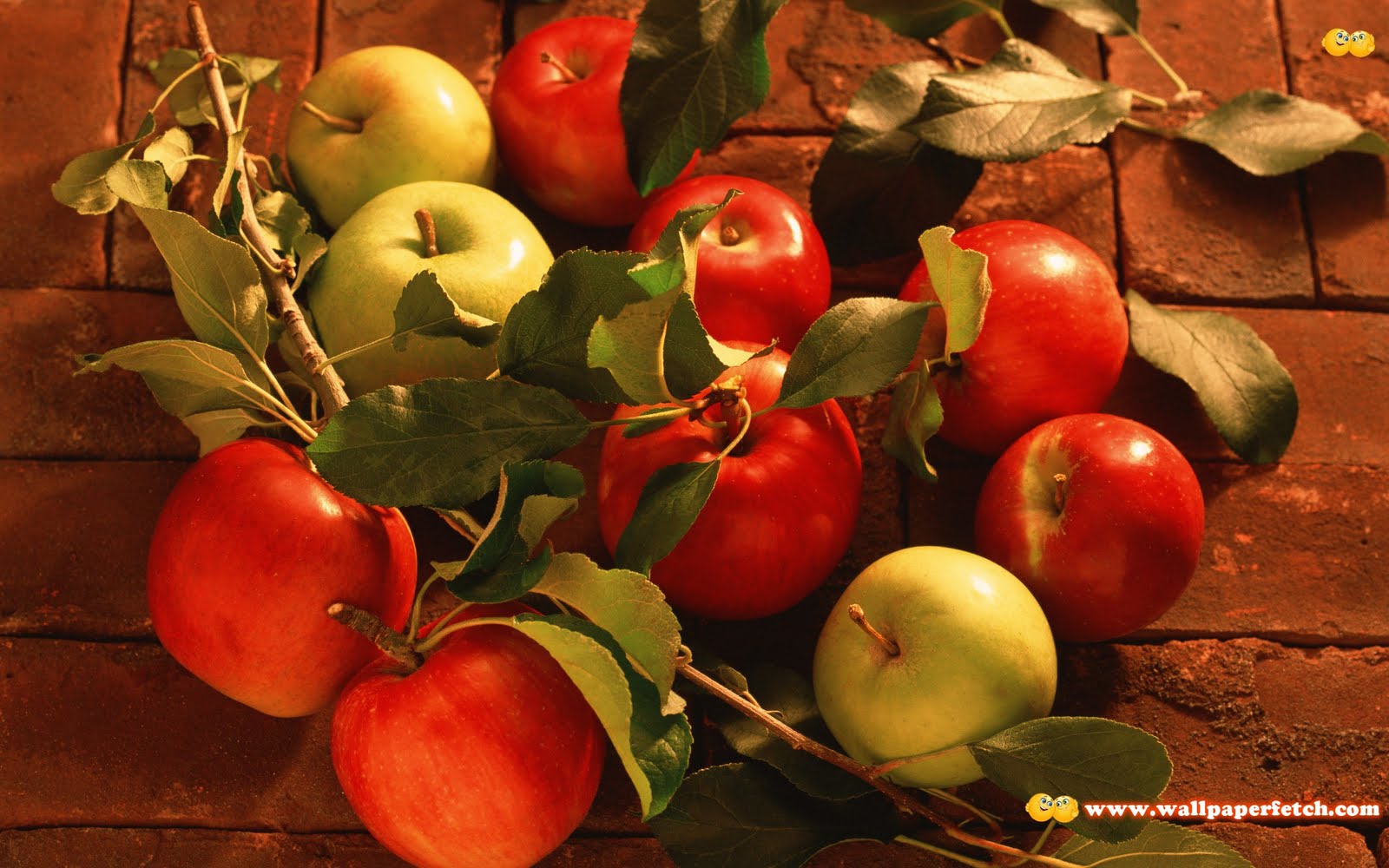 http://4.bp.blogspot.com/-HZjgJWOtXTI/TsvNKOFmieI/AAAAAAAAA3w/wN5IUVd0fco/s1600/HDPackSuperiorWallpapers263_088.jpg