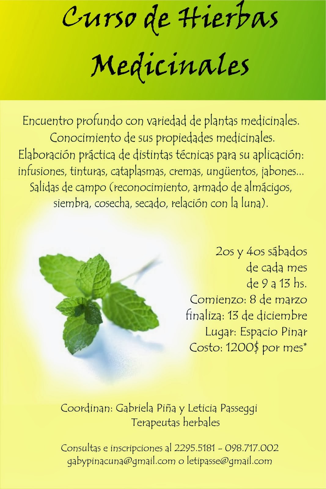 Curso de Hierbas Medicinales