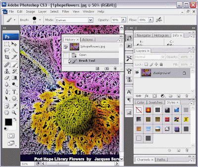 Download Adobe Photoshop CS3 Full Download Adobe Photoshop CS3 Full