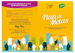 Plan de Metas