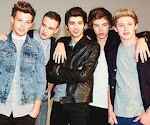 One Direction(Louis,Liam,Zayn,Harry,Niall)