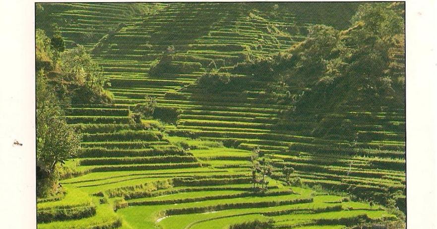 MY UNESCO WHS POSTCARDS COLLECTION: INDONESIA Cultural Landscape of Bali Province: the Subak MY UNESCO WHS POSTCARDS COLLECTION: INDONESIA Cultural Landscape of Bali Province: the Subak