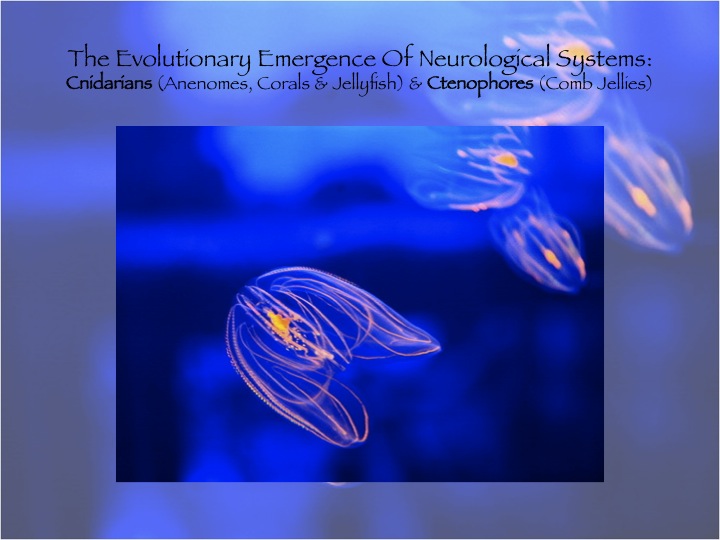 Towards A Linguistic Science Of Sciences Slide 16 The Evolutionary
