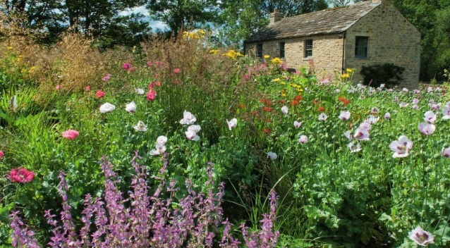 English Cottage Garden Ideas Photograph | English cottage ga