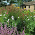 5 Kitchen garden designs ~ English garden