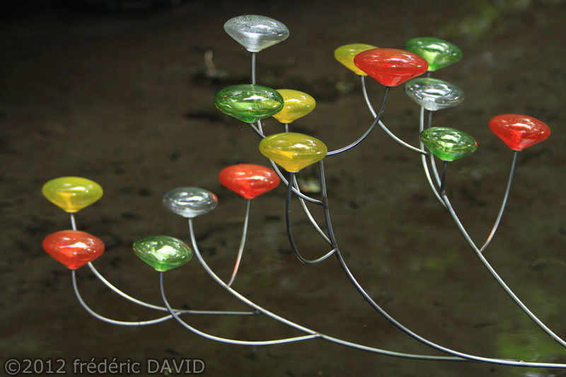 Fred et ses images Le Jardin de Verre