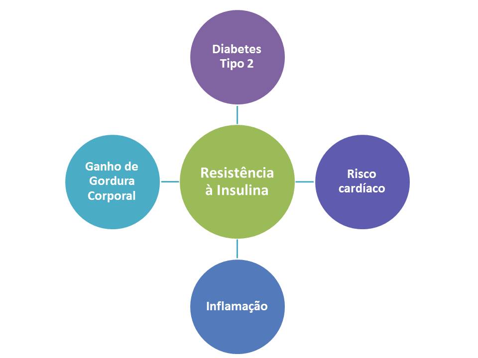 Carlinhos Treinamento Atividade Física, Alimentaç u00e3o e Resist u00eanciaà Insulina Parte 1 Armario Escritorio Com Chave ~ Carlinhos Treinamento Atividade Física, Alimentaç u00e3o e Resist u00eanciaà Insulina Parte 1