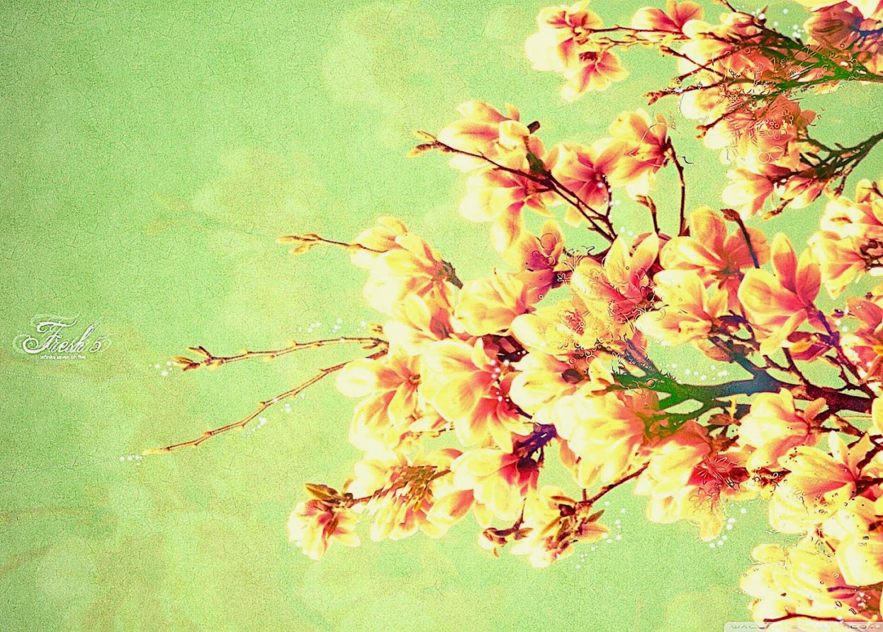 Spring HD desktop wallpaper High Definition Fullscreen Mobile Spring HD desktop wallpaper High Definition Fullscreen Mobile