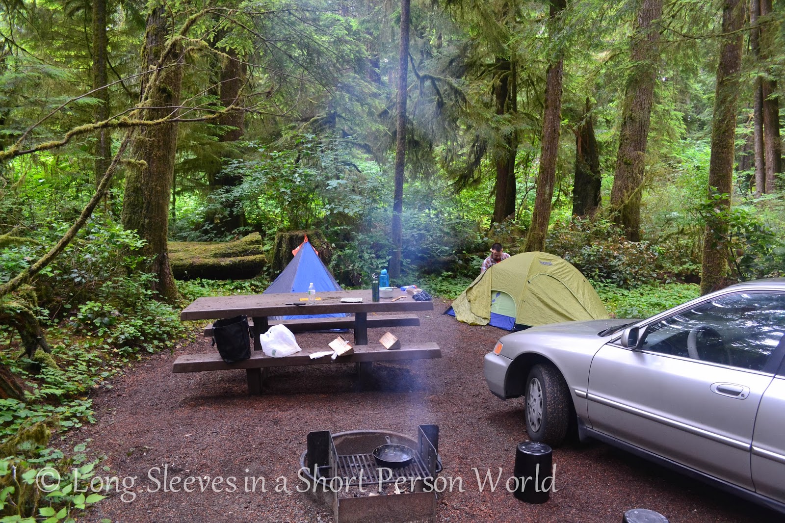 Long Sleeves in a Short Person World Third Beach Hike Near Forks, WA