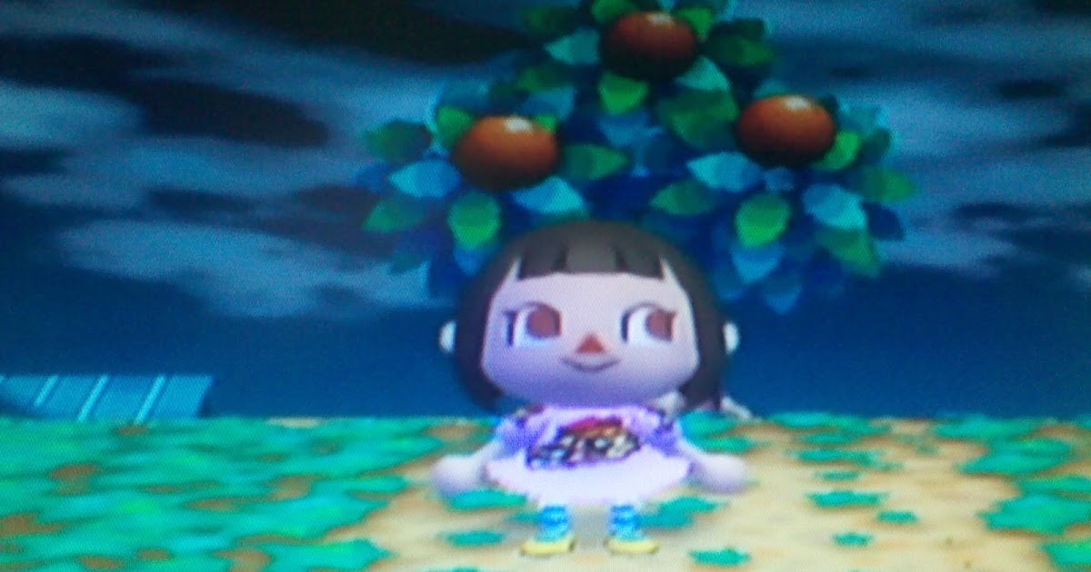 Enjoy wath you do Mi diario en Animal Crossing City Folk Enjoy wath you do Mi diario en Animal Crossing City Folk