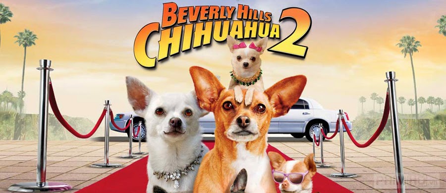 Phim Nữ minh tinh và chàng hoàng tử 2 VietSub HD | Beverly Hills Chihuahua 2 2011