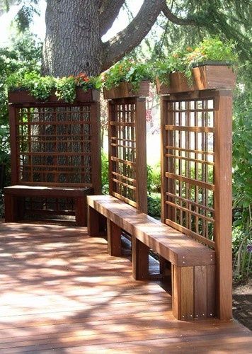 What a pretty fence alternative. | Backyard patio, Backyard, Backyard