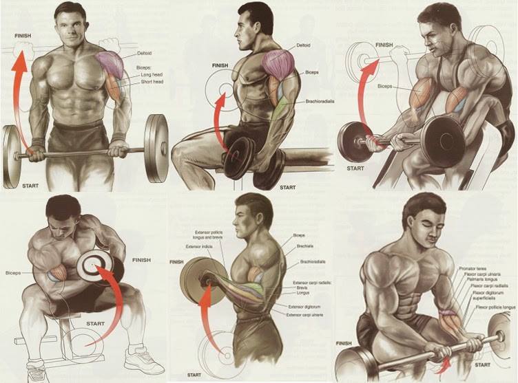 fitness charting