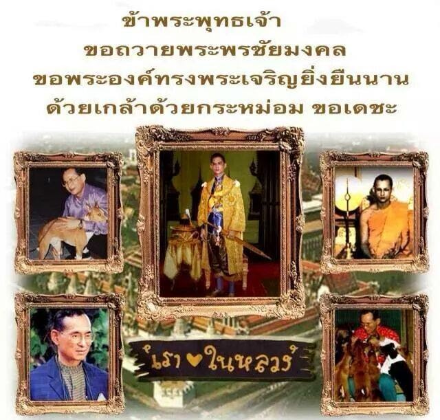 พ่อหลวงของแผ่นดินไทย
