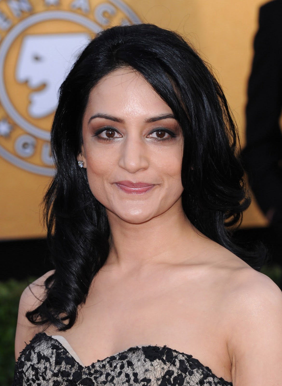 Archie Panjabi Photos | Tv Series Posters and Cast1170 x 1600
