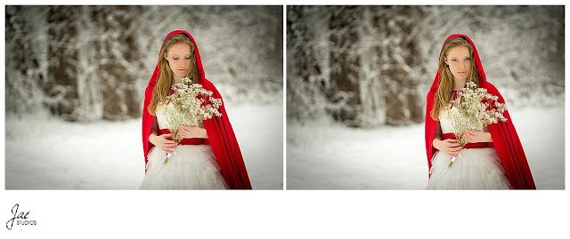  Snowy Outdoor Bridal Session Lynchburg