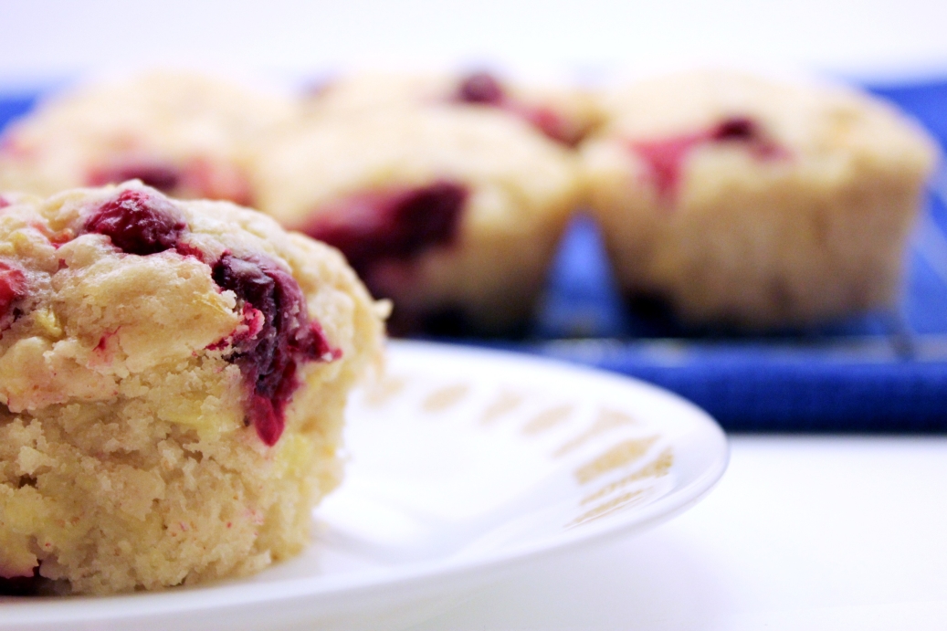 THIS BLOG HAS MOVED TO Pineapple Cranberry