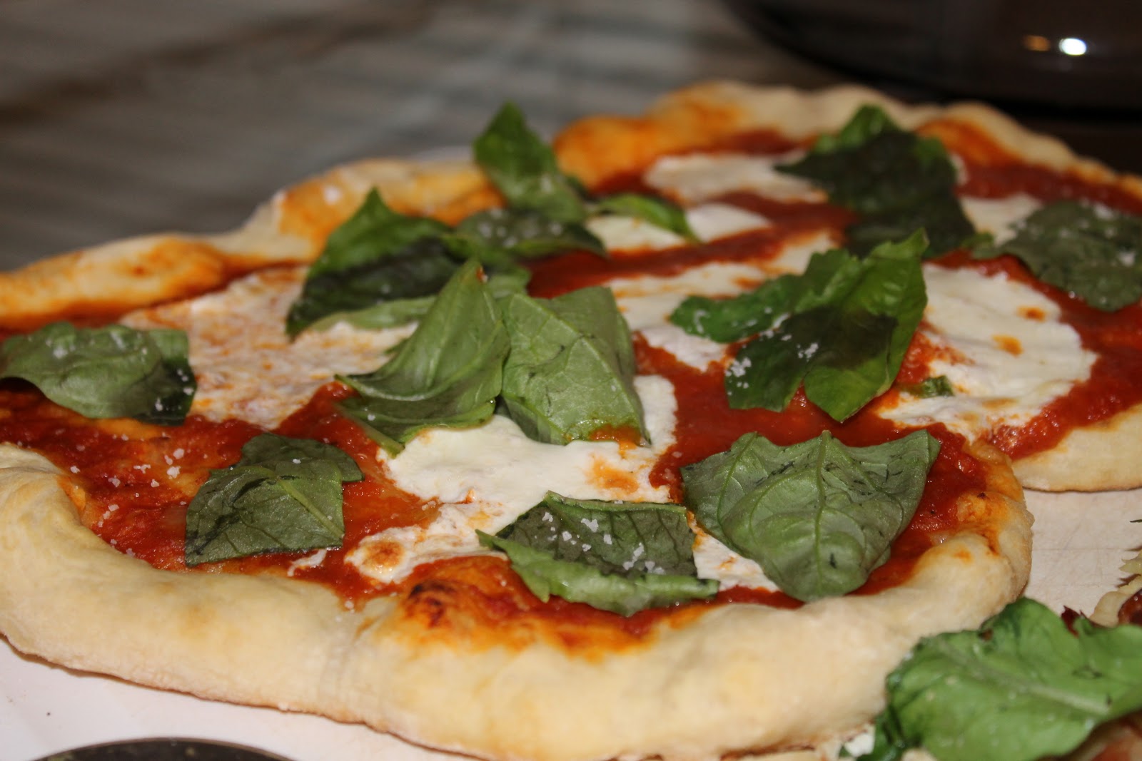 Epicurean Evolution Homemade Pizza Dough From Cook S Illustrated